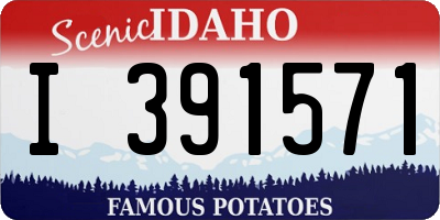 ID license plate I391571