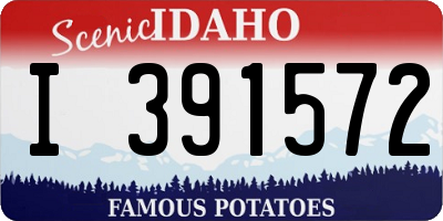ID license plate I391572