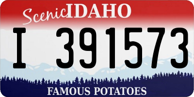 ID license plate I391573