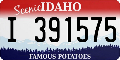 ID license plate I391575