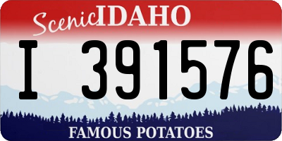 ID license plate I391576