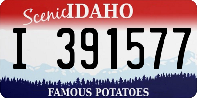 ID license plate I391577