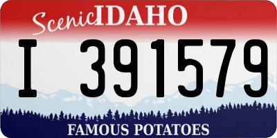 ID license plate I391579