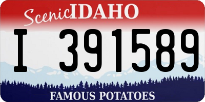 ID license plate I391589