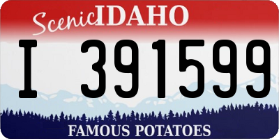 ID license plate I391599