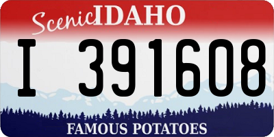 ID license plate I391608