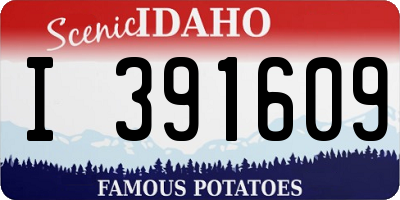 ID license plate I391609