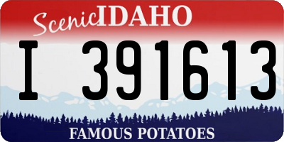 ID license plate I391613