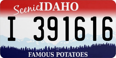ID license plate I391616