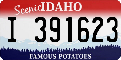 ID license plate I391623
