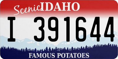 ID license plate I391644