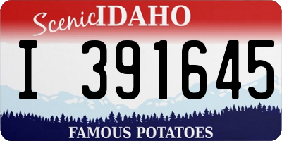 ID license plate I391645