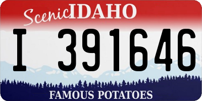 ID license plate I391646