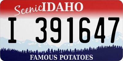 ID license plate I391647