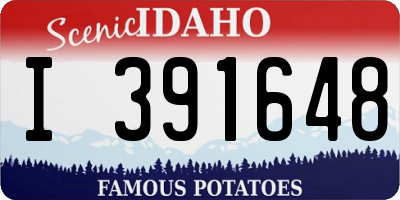 ID license plate I391648