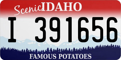 ID license plate I391656