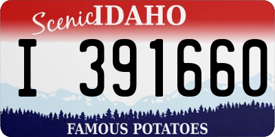 ID license plate I391660