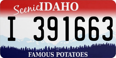 ID license plate I391663
