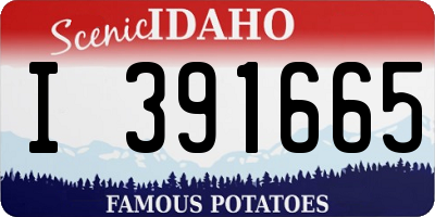 ID license plate I391665