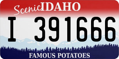 ID license plate I391666