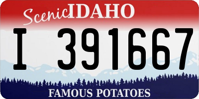 ID license plate I391667