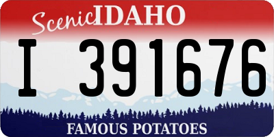ID license plate I391676