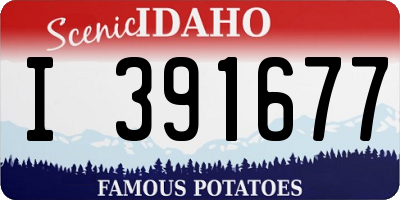 ID license plate I391677
