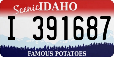 ID license plate I391687