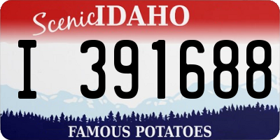 ID license plate I391688