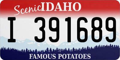 ID license plate I391689