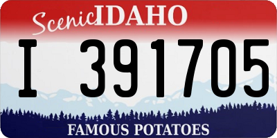ID license plate I391705