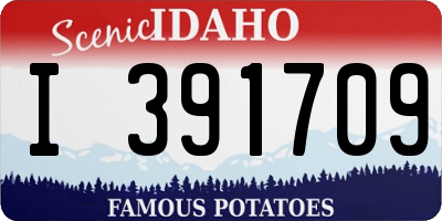 ID license plate I391709