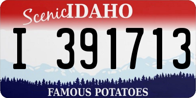 ID license plate I391713