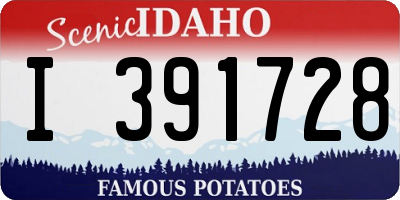 ID license plate I391728