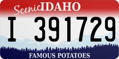 ID license plate I391729