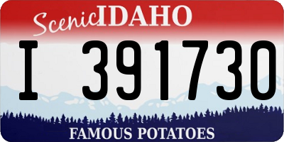 ID license plate I391730