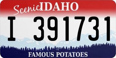 ID license plate I391731