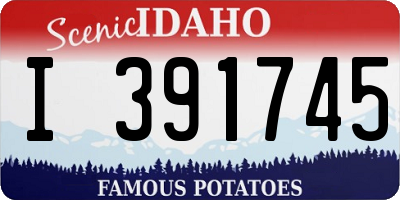 ID license plate I391745