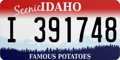 ID license plate I391748