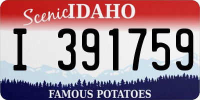 ID license plate I391759