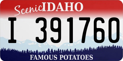 ID license plate I391760