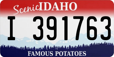 ID license plate I391763