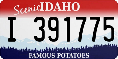 ID license plate I391775