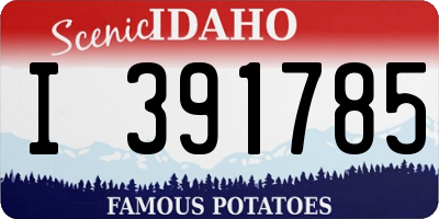 ID license plate I391785