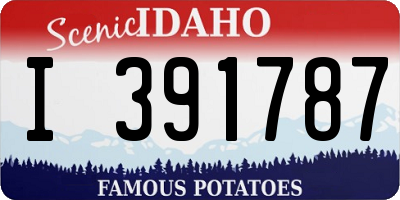 ID license plate I391787