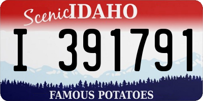 ID license plate I391791