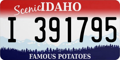 ID license plate I391795