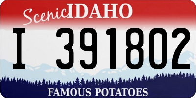 ID license plate I391802