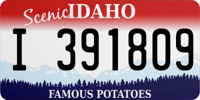 ID license plate I391809
