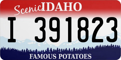 ID license plate I391823